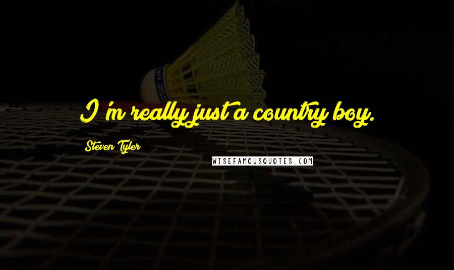 Steven Tyler Quotes: I'm really just a country boy.