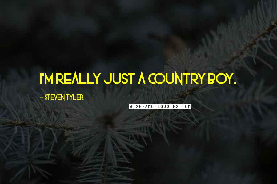 Steven Tyler Quotes: I'm really just a country boy.