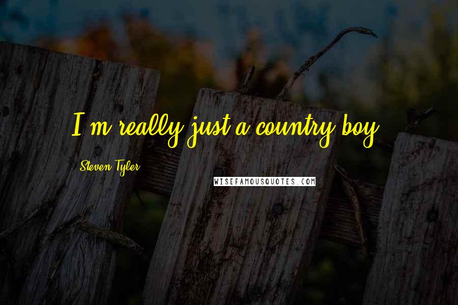 Steven Tyler Quotes: I'm really just a country boy.