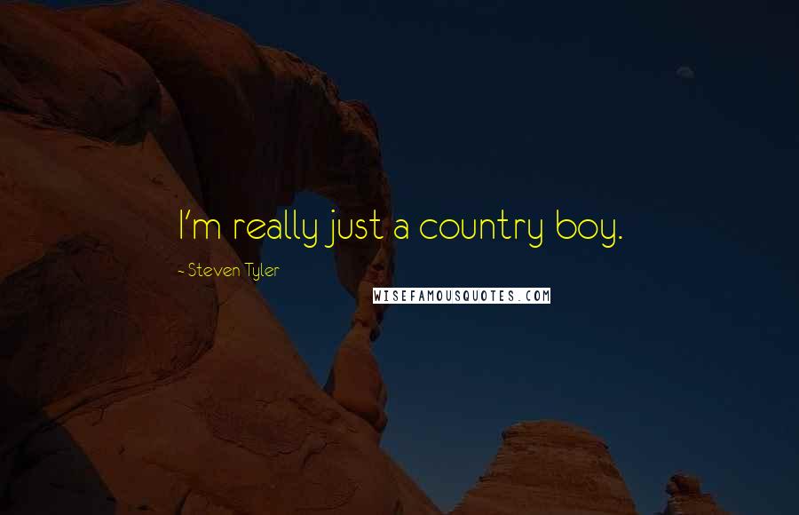 Steven Tyler Quotes: I'm really just a country boy.