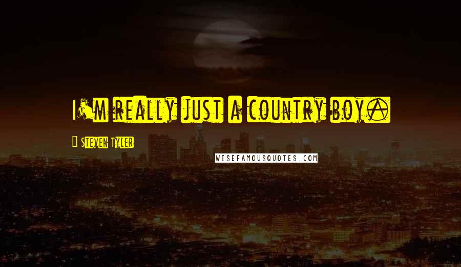 Steven Tyler Quotes: I'm really just a country boy.