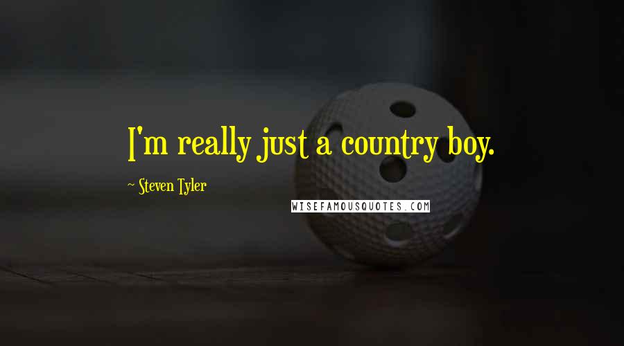 Steven Tyler Quotes: I'm really just a country boy.