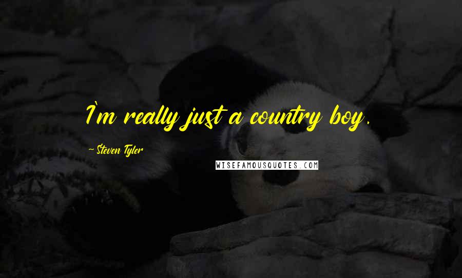 Steven Tyler Quotes: I'm really just a country boy.