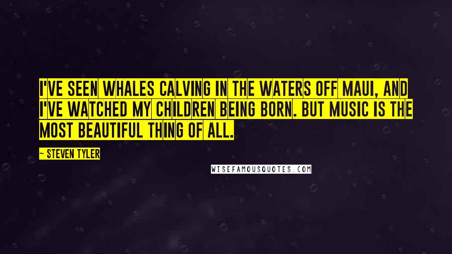 Steven Tyler Quotes: I've seen whales calving in the waters off Maui, and I've watched my children being born. But music is the most beautiful thing of all.