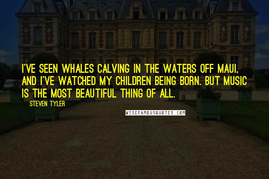 Steven Tyler Quotes: I've seen whales calving in the waters off Maui, and I've watched my children being born. But music is the most beautiful thing of all.