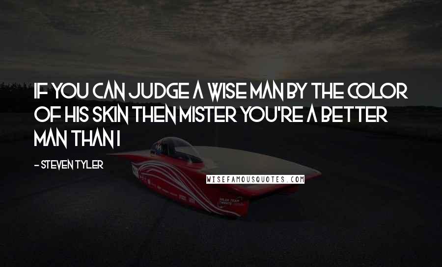 Steven Tyler Quotes: If you can judge a wise man by the color of his skin Then mister you're a better man than I