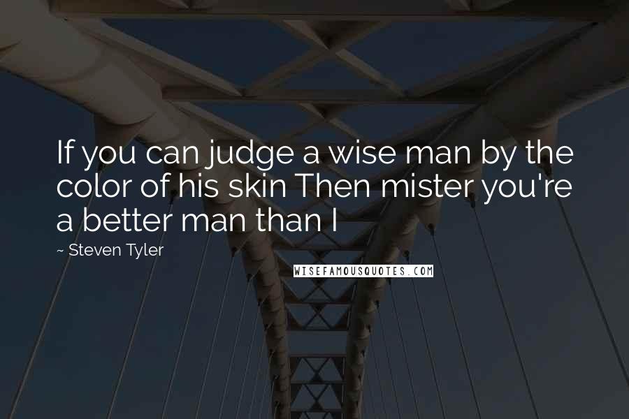 Steven Tyler Quotes: If you can judge a wise man by the color of his skin Then mister you're a better man than I