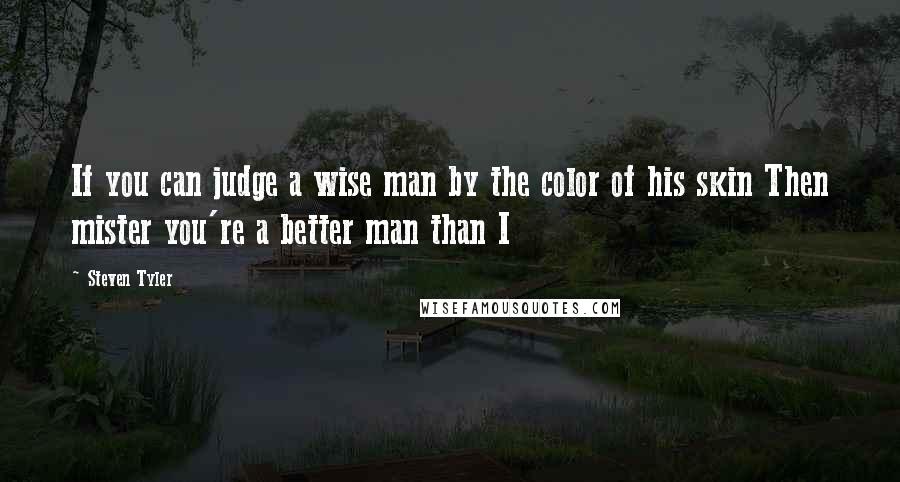 Steven Tyler Quotes: If you can judge a wise man by the color of his skin Then mister you're a better man than I