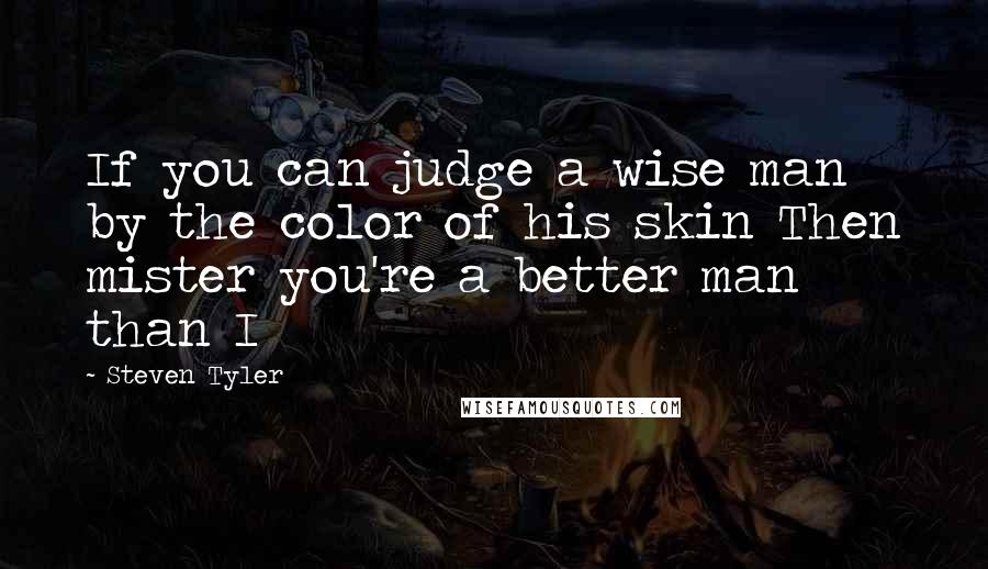 Steven Tyler Quotes: If you can judge a wise man by the color of his skin Then mister you're a better man than I