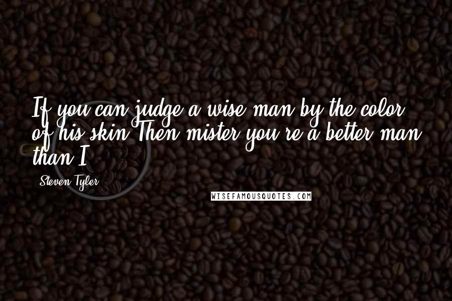 Steven Tyler Quotes: If you can judge a wise man by the color of his skin Then mister you're a better man than I