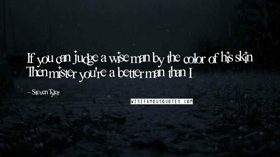 Steven Tyler Quotes: If you can judge a wise man by the color of his skin Then mister you're a better man than I