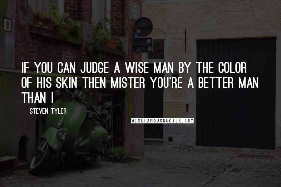 Steven Tyler Quotes: If you can judge a wise man by the color of his skin Then mister you're a better man than I