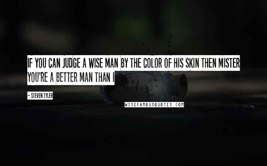 Steven Tyler Quotes: If you can judge a wise man by the color of his skin Then mister you're a better man than I