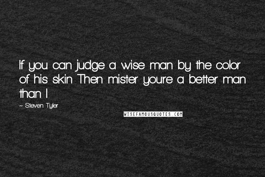 Steven Tyler Quotes: If you can judge a wise man by the color of his skin Then mister you're a better man than I