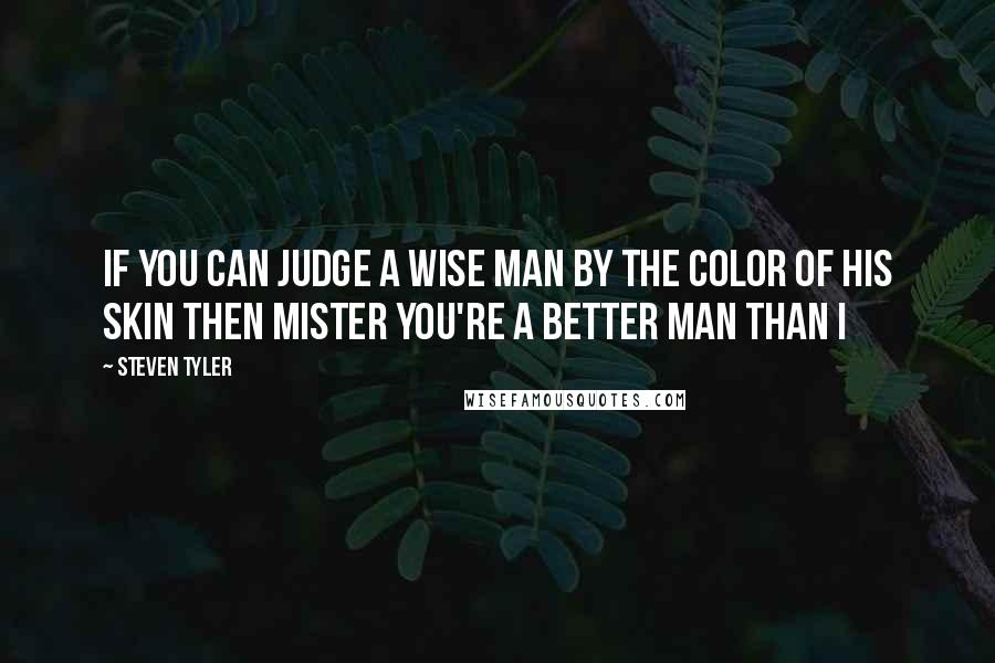 Steven Tyler Quotes: If you can judge a wise man by the color of his skin Then mister you're a better man than I