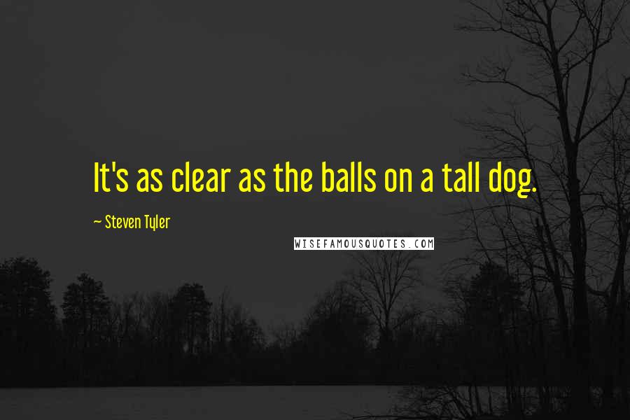 Steven Tyler Quotes: It's as clear as the balls on a tall dog.