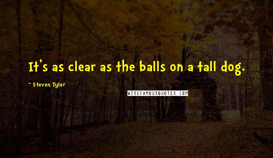 Steven Tyler Quotes: It's as clear as the balls on a tall dog.