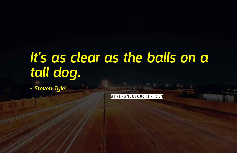 Steven Tyler Quotes: It's as clear as the balls on a tall dog.