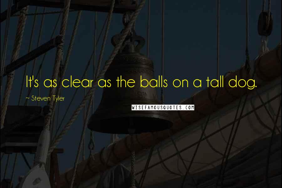 Steven Tyler Quotes: It's as clear as the balls on a tall dog.