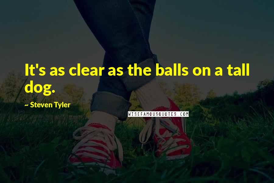 Steven Tyler Quotes: It's as clear as the balls on a tall dog.