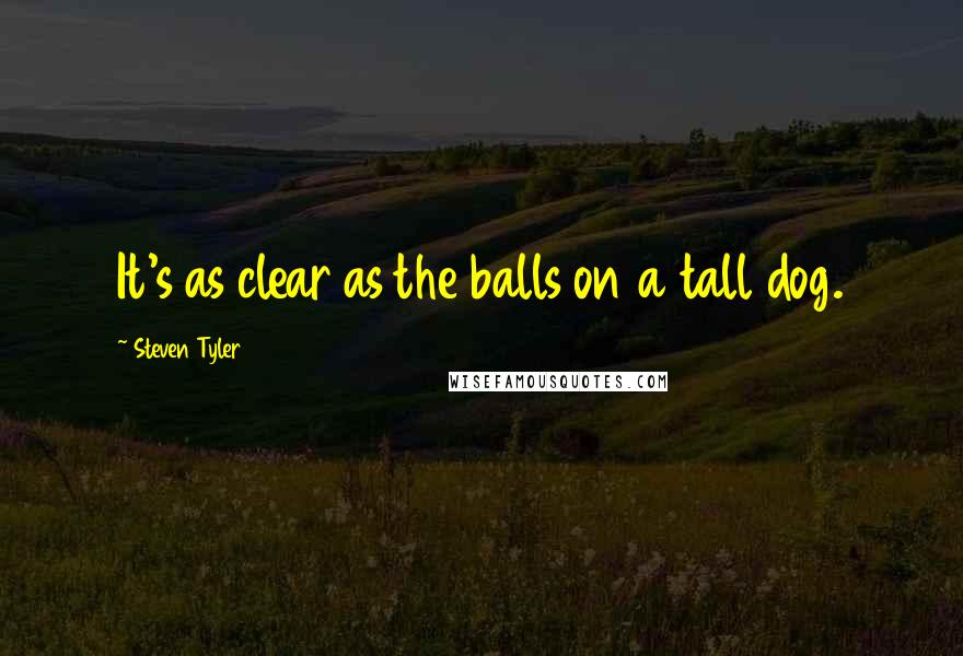 Steven Tyler Quotes: It's as clear as the balls on a tall dog.