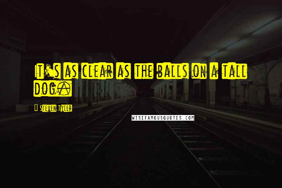 Steven Tyler Quotes: It's as clear as the balls on a tall dog.