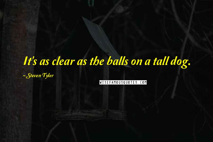 Steven Tyler Quotes: It's as clear as the balls on a tall dog.