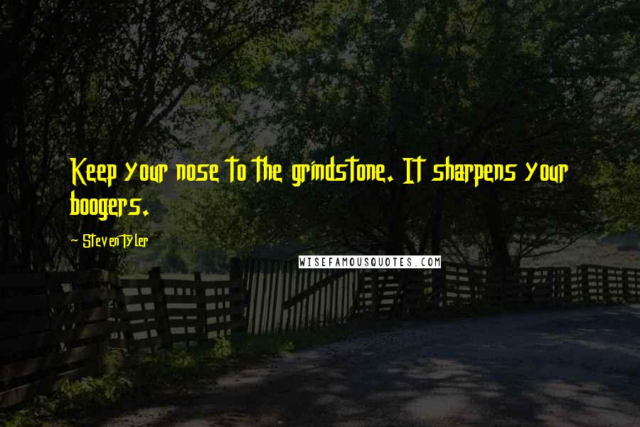 Steven Tyler Quotes: Keep your nose to the grindstone. It sharpens your boogers.