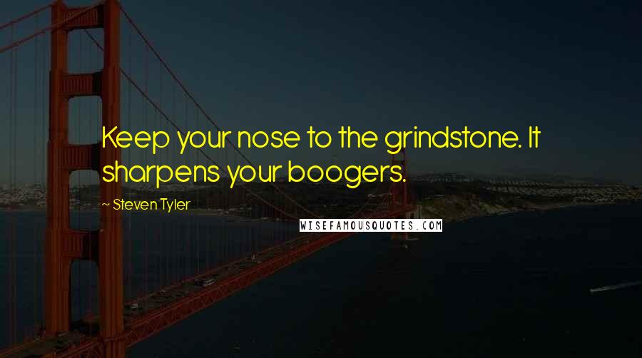 Steven Tyler Quotes: Keep your nose to the grindstone. It sharpens your boogers.