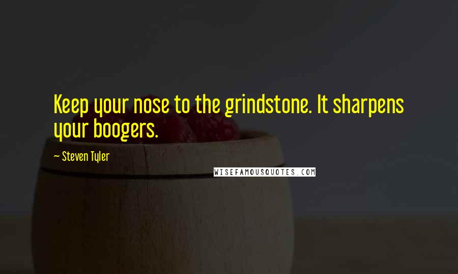 Steven Tyler Quotes: Keep your nose to the grindstone. It sharpens your boogers.