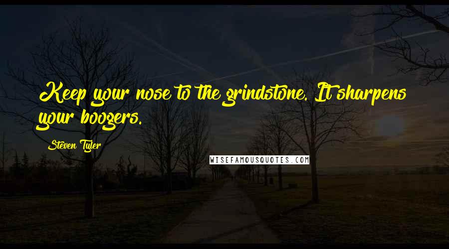 Steven Tyler Quotes: Keep your nose to the grindstone. It sharpens your boogers.