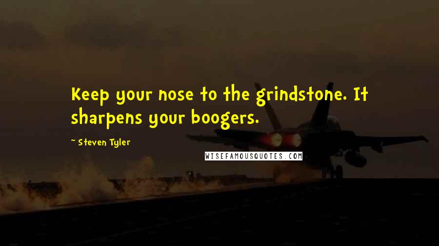Steven Tyler Quotes: Keep your nose to the grindstone. It sharpens your boogers.