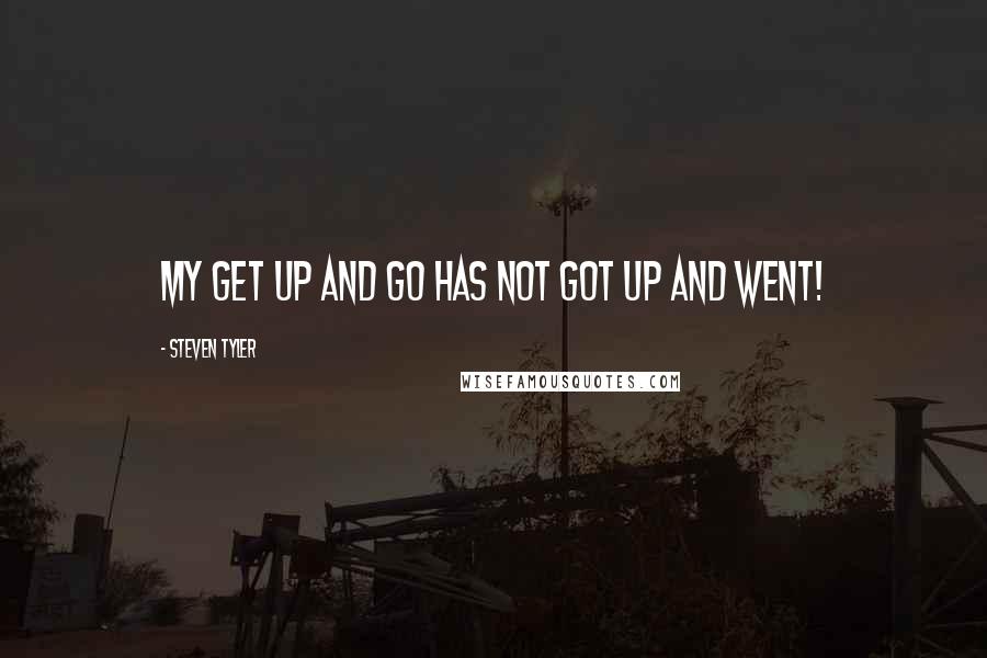 Steven Tyler Quotes: My Get Up and Go Has Not Got Up and Went!