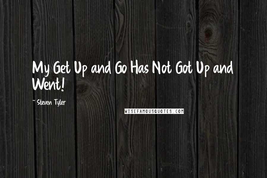 Steven Tyler Quotes: My Get Up and Go Has Not Got Up and Went!