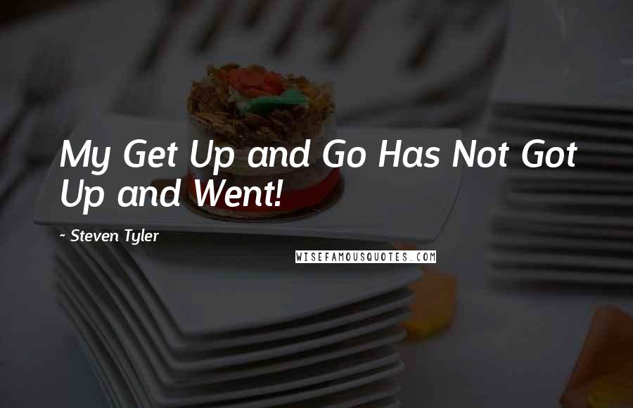 Steven Tyler Quotes: My Get Up and Go Has Not Got Up and Went!