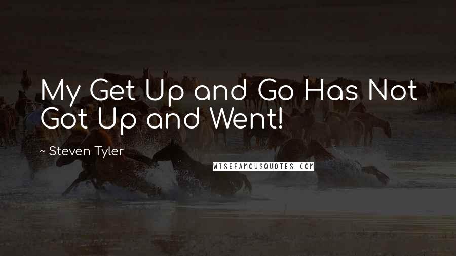 Steven Tyler Quotes: My Get Up and Go Has Not Got Up and Went!