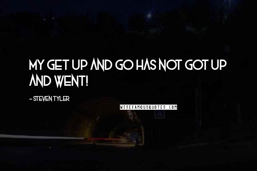 Steven Tyler Quotes: My Get Up and Go Has Not Got Up and Went!