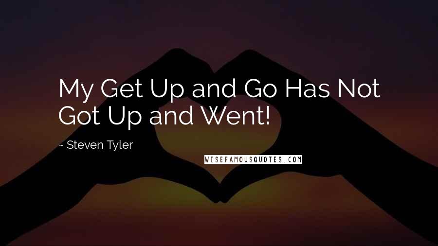 Steven Tyler Quotes: My Get Up and Go Has Not Got Up and Went!