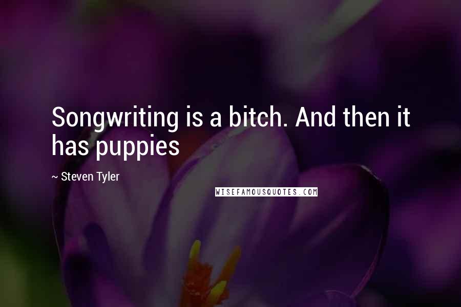 Steven Tyler Quotes: Songwriting is a bitch. And then it has puppies