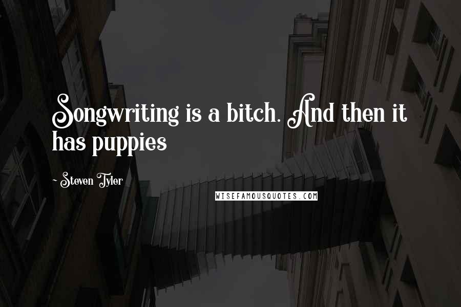 Steven Tyler Quotes: Songwriting is a bitch. And then it has puppies