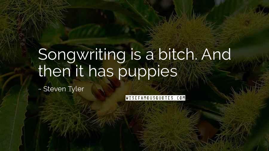 Steven Tyler Quotes: Songwriting is a bitch. And then it has puppies