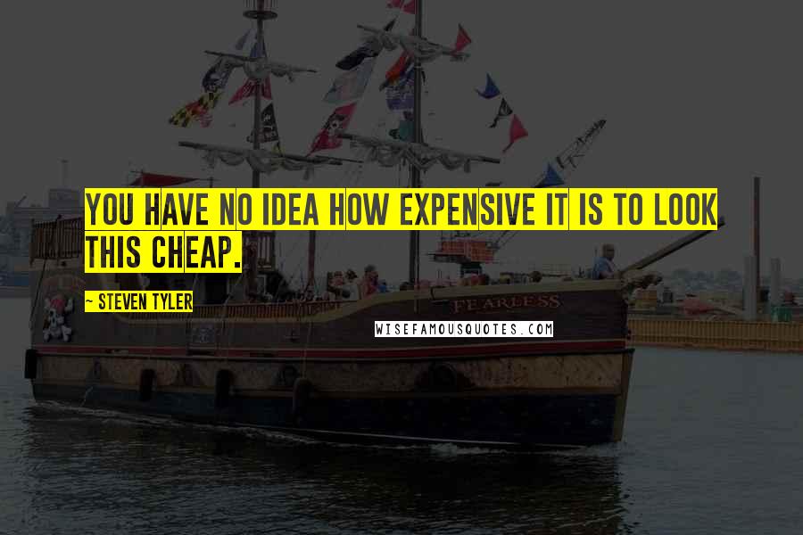 Steven Tyler Quotes: You have no idea how expensive it is to look this cheap.