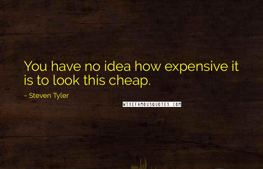 Steven Tyler Quotes: You have no idea how expensive it is to look this cheap.