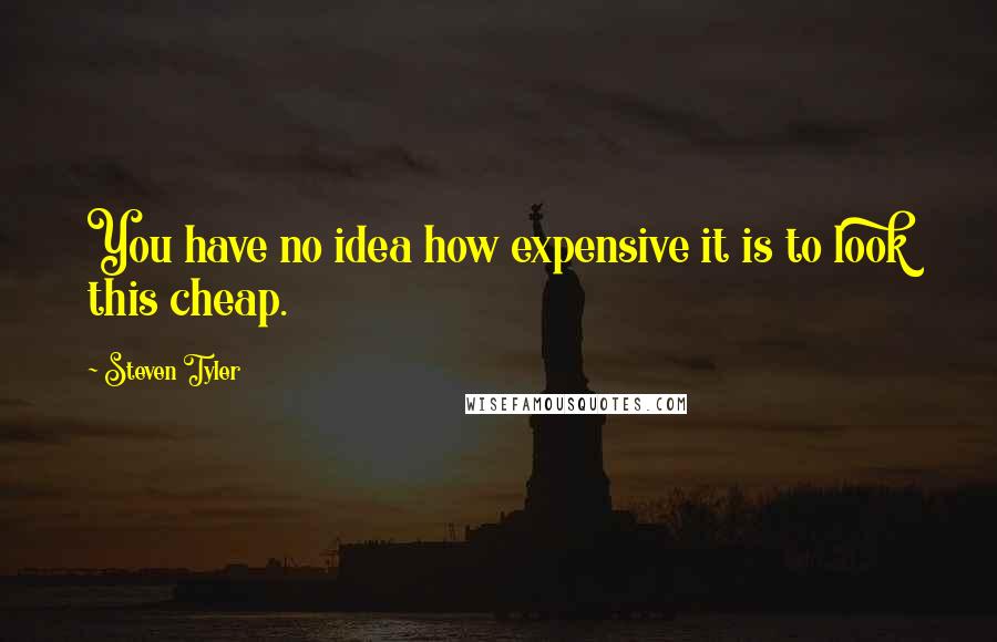 Steven Tyler Quotes: You have no idea how expensive it is to look this cheap.