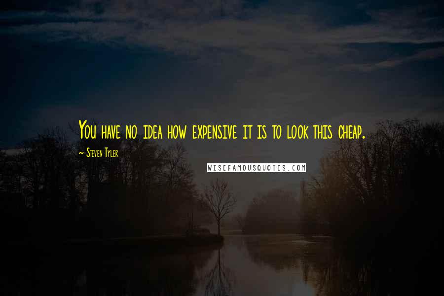 Steven Tyler Quotes: You have no idea how expensive it is to look this cheap.