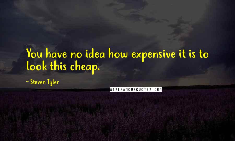 Steven Tyler Quotes: You have no idea how expensive it is to look this cheap.