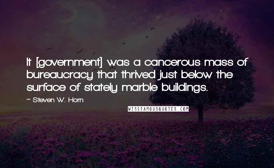 Steven W. Horn Quotes: It [government] was a cancerous mass of bureaucracy that thrived just below the surface of stately marble buildings.
