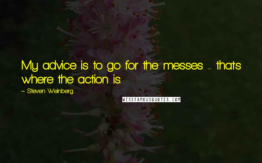 Steven Weinberg Quotes: My advice is to go for the messes - that's where the action is.