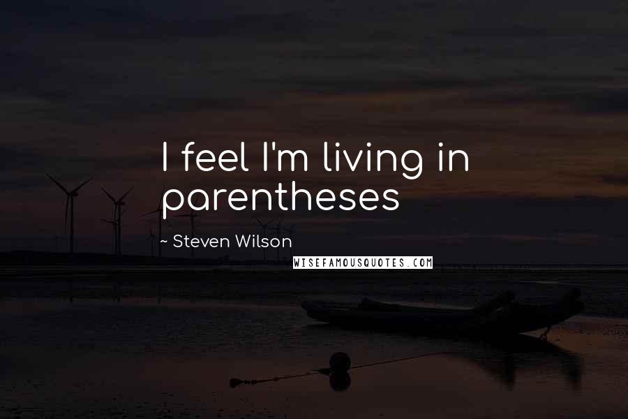 Steven Wilson Quotes: I feel I'm living in parentheses