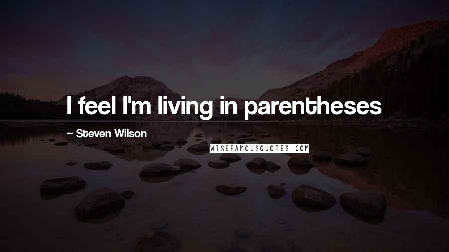 Steven Wilson Quotes: I feel I'm living in parentheses